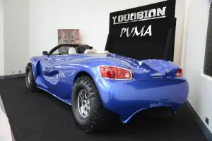 Youabian Puma - 2