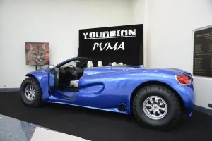 Youabian Puma