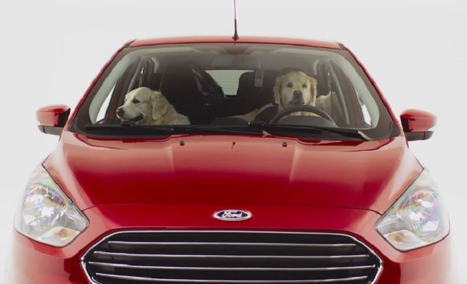 Ford Ka+, la nuova compatta a misura dei nostri amici a 4 zampe [VIDEO]