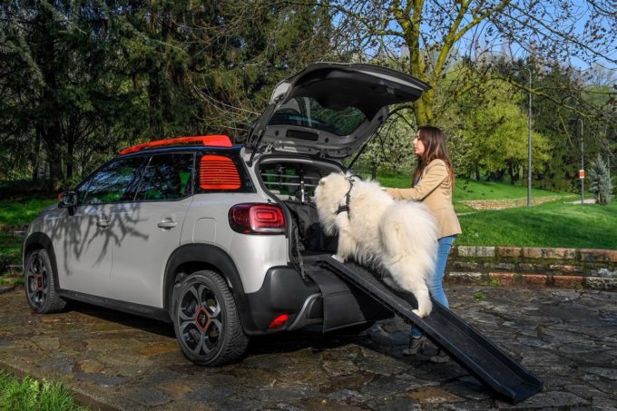 Citroen, il kit di accessori per animali Pet à Porter premiato ai Best Event Awards 2018