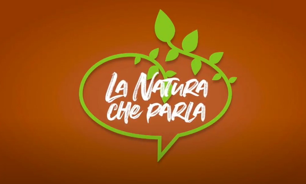 Kia: le elettriche protagoniste de ‘La natura che parla’