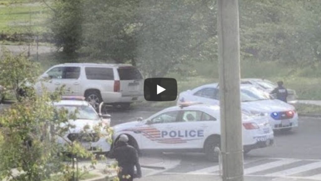 Washington: due auto della polizia si schiantano dopo aver tentato una Drag Race [VIDEO]