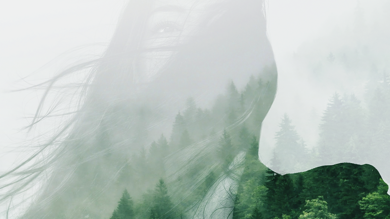 Volvo: in regalo un pacchetto di alberi per ogni camion elettrico venduto