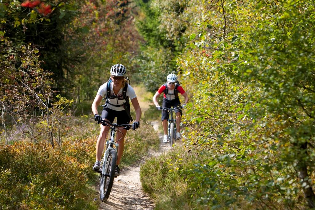 La tua auto inquina? La Francia ti da 4.000 euro per l’acquisto di una bicicletta