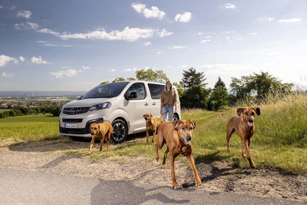 Opel Zafira-e Life: perfetta anche per gli amici a 4 zampe