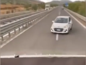 Auto contromano in autostrada, un camionista la blocca ed evita il peggio [VIDEO]