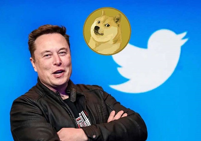 Musk cambia l’icona di Twitter: c’è un cane Shiba Inu al posto dell’uccellino blu
