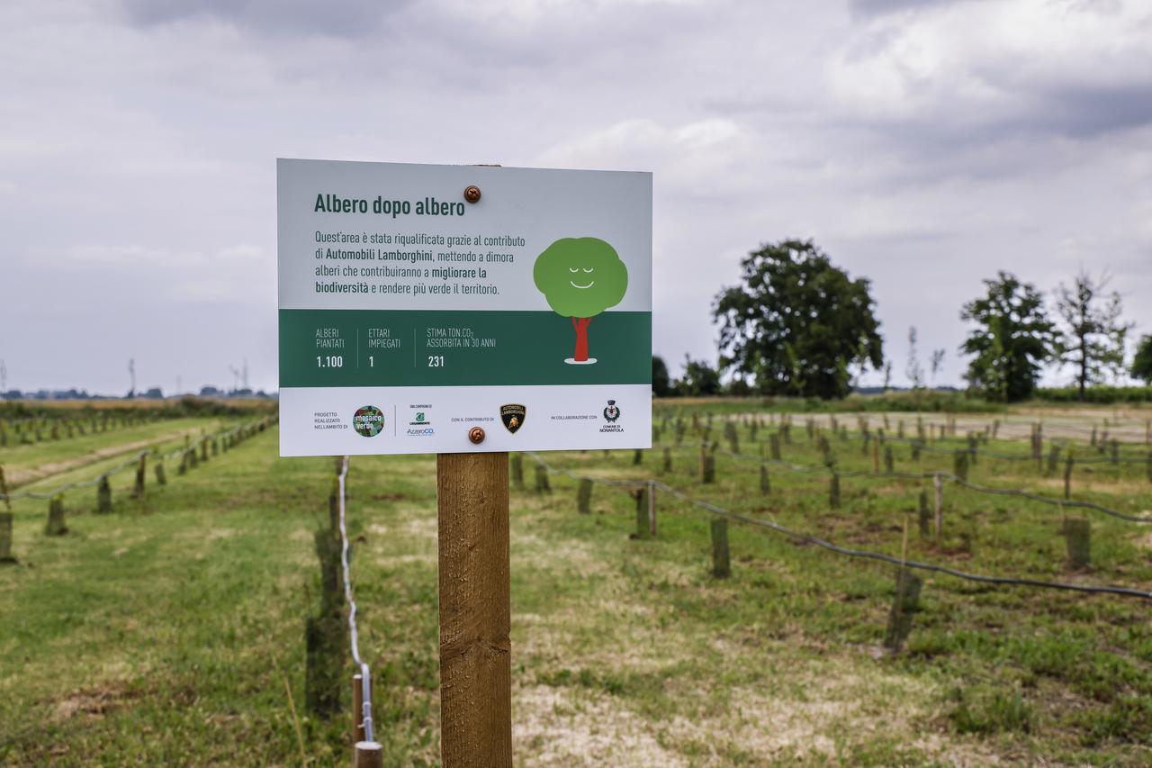 Lamborghini riforestazione Bologna