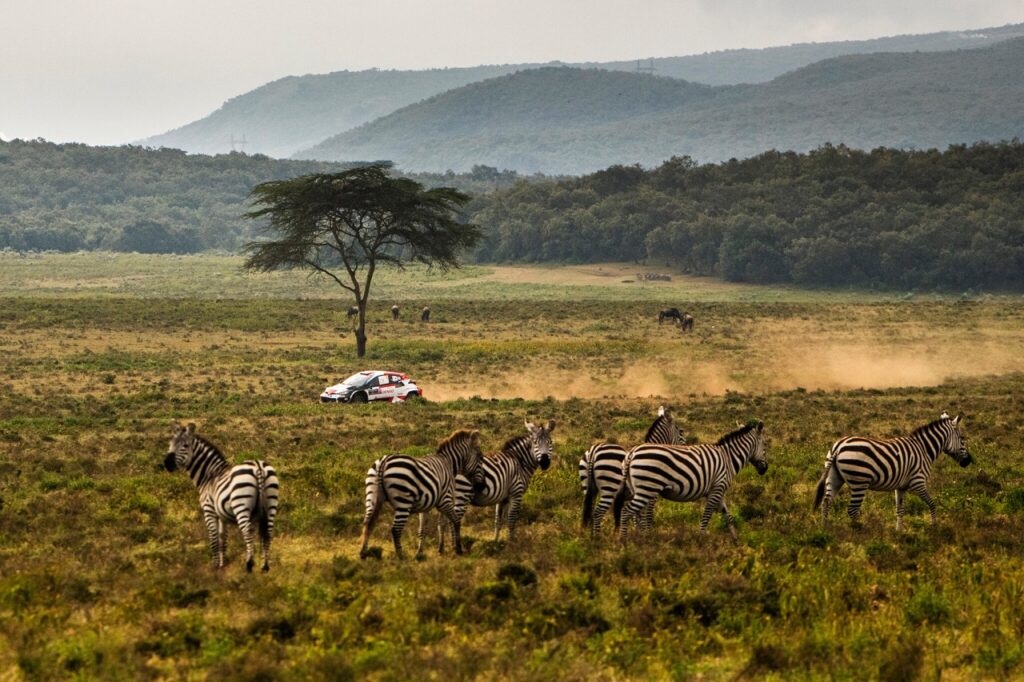 Toyota Gazoo Racing: dominio assoluto al Safari Rally Kenya