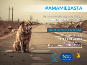 Esodo estivo 2023: via alla campagna contro l’abbandono degli animali