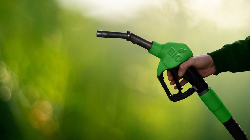 Biocarburanti: cosa sono, come si producono, vantaggi e svantaggi