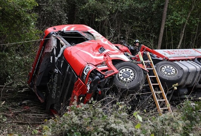 Camionista ucciso da un cervo che, investito da un’auto, ha sfondato il parabrezza del tir