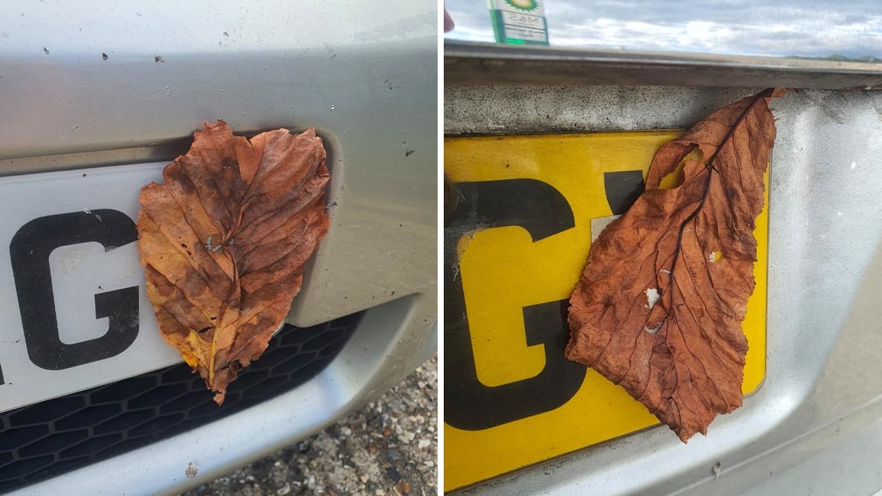 Attacca una foglia sulla targa per sfuggire agli autovelox: denunciato