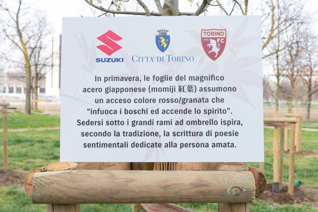 Suzuki e Torino FC hanno donato alla Città di Torino 11 nuovi alberi