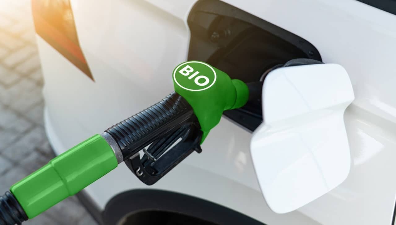 La Lega contro lo stop alle auto termiche nel 2035