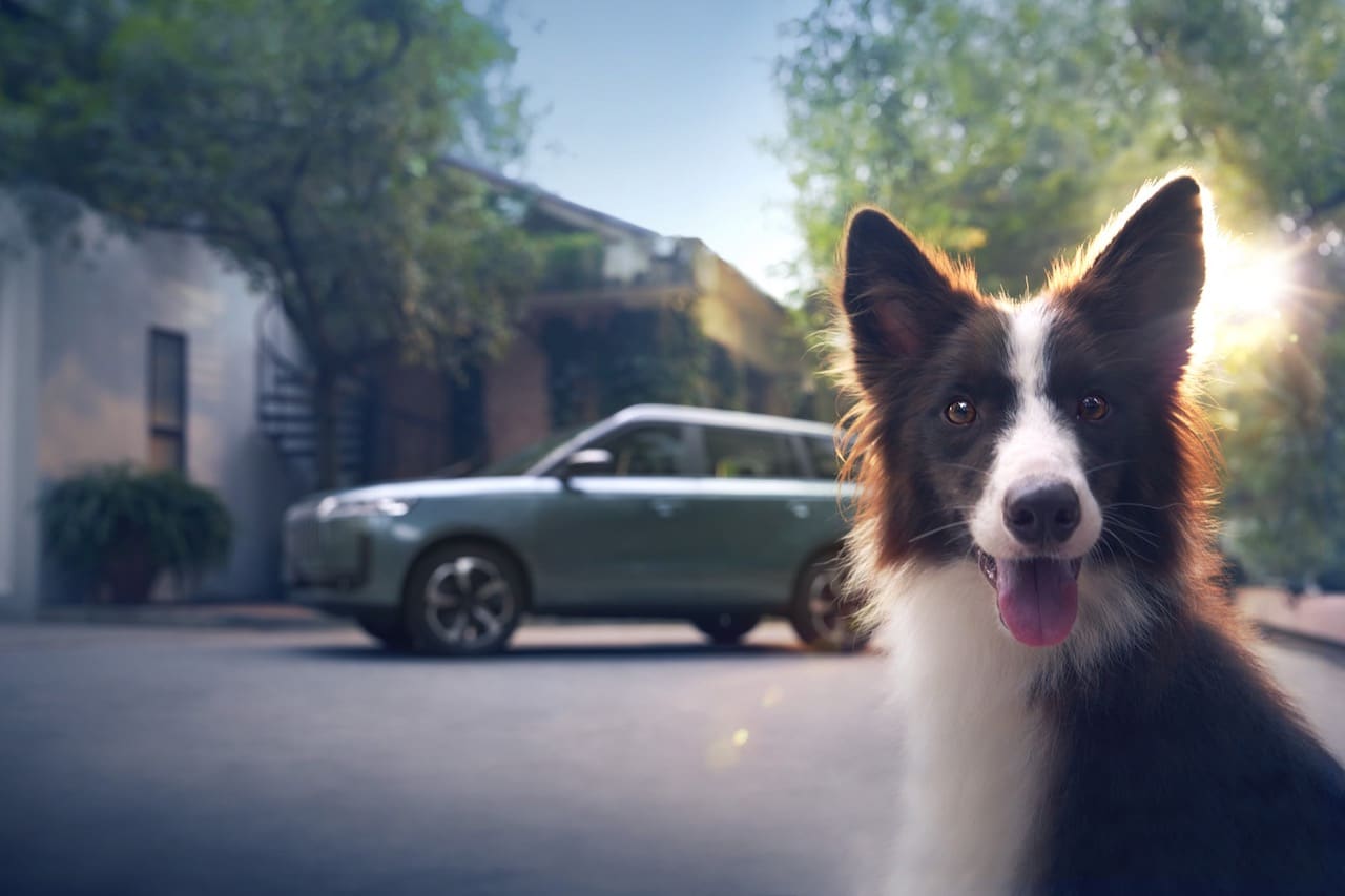 Jaecoo 5: è un SUV anche a prova di … cane