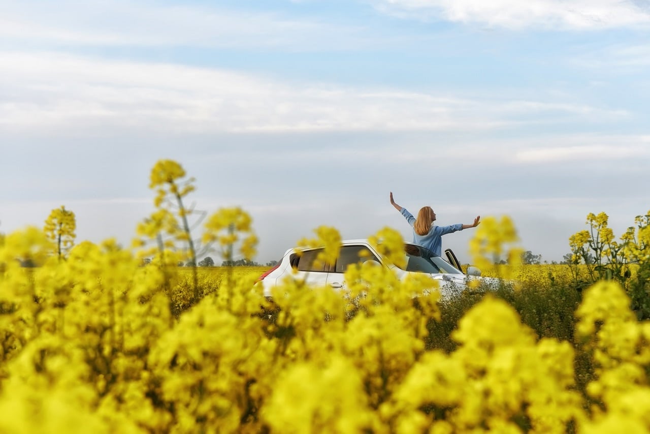Ecco come preparare la propria auto all’arrivo della primavera