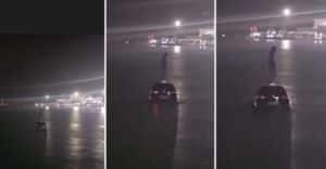 Bari, auto in mare al porto: il conducente si salva sfondando il parabrezza e salendo sul tetto [VIDEO]