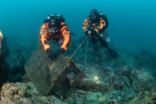 Hyundai: cinque anni di pulizia degli oceani con Healthy Seas