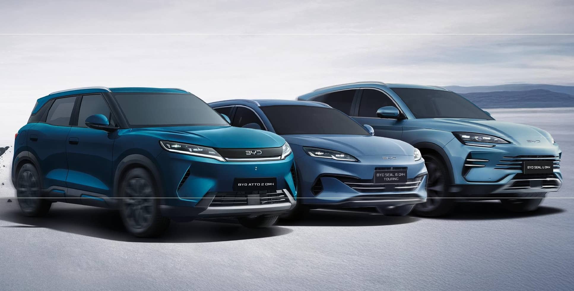BYD - Operazione Purefication