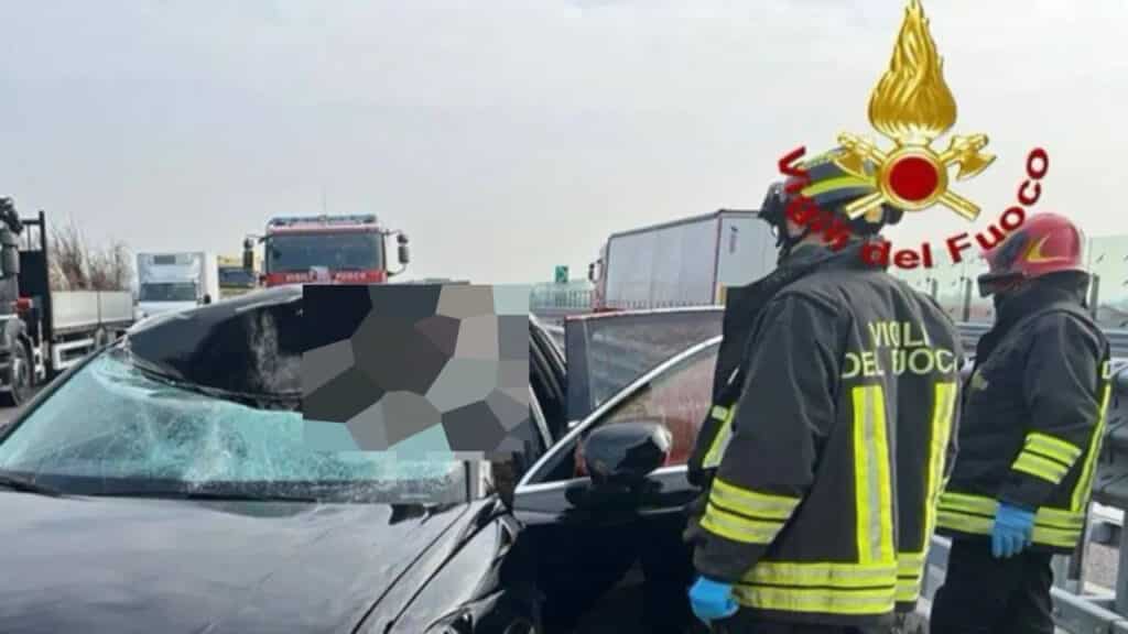 Pedemontana, cervo sfonda il parabrezza di un’Audi: ferita una donna