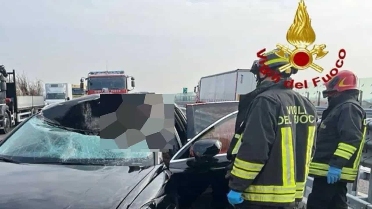 Pedemontana, cervo sfonda il parabrezza di un’Audi: ferita una donna