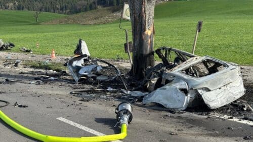 Germania, si schianta con la Tesla contro un albero: incendio dopo l’impatto, morto il conducente