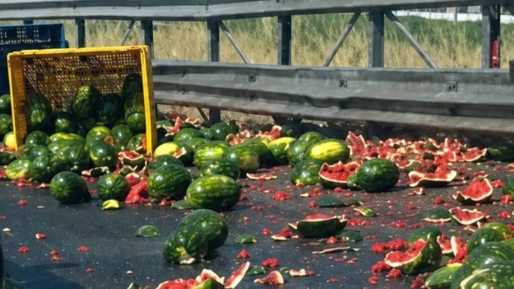 A2 invasa dalle angurie: camion perde il carico, traffico in tilt e “assalto” ai cocomeri sull’asfalto