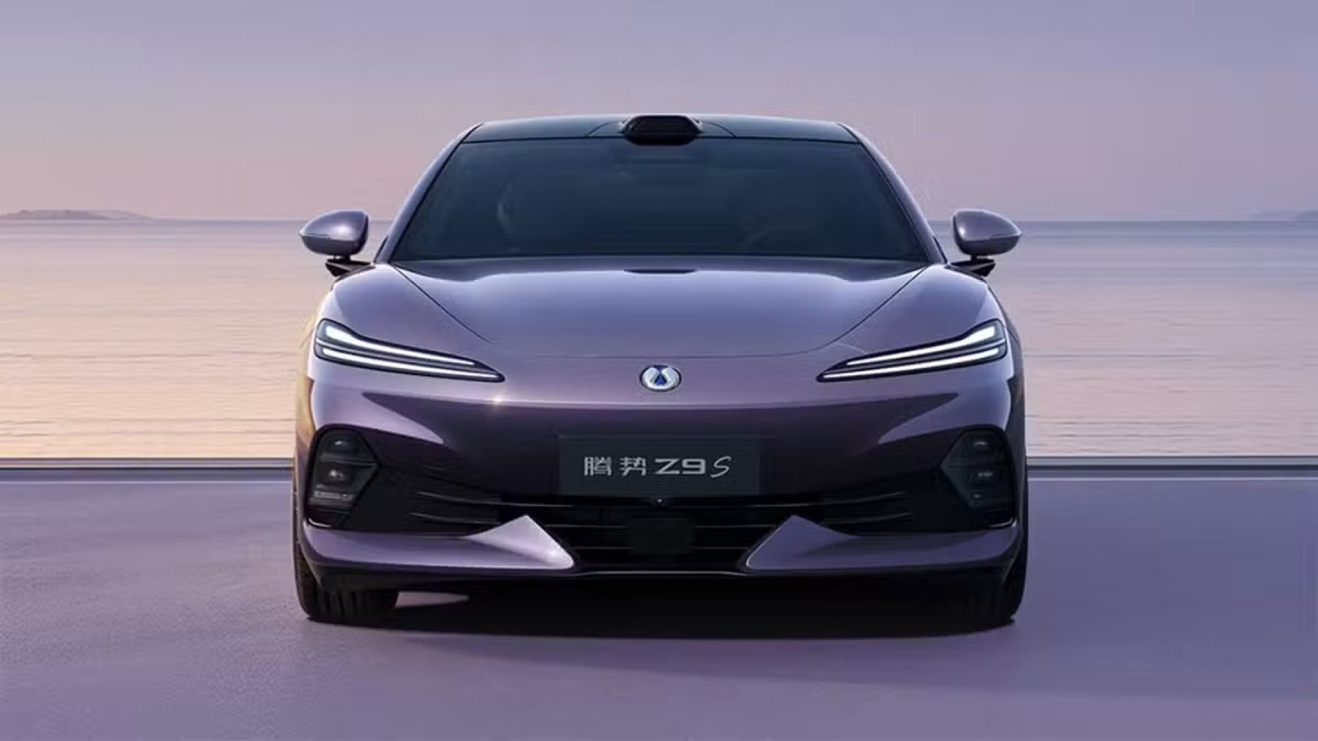 Denza Z9S