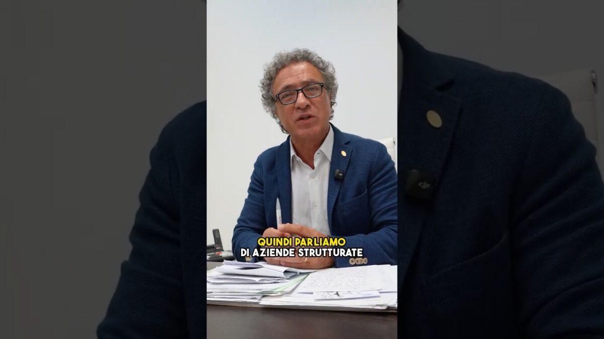 Dietro le più grandi concessionarie italiane: i numeri dei dealer che muovono miliardi