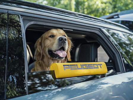 Peugeot E-5008 Dog Edition: il concept SUV progettato per i cani