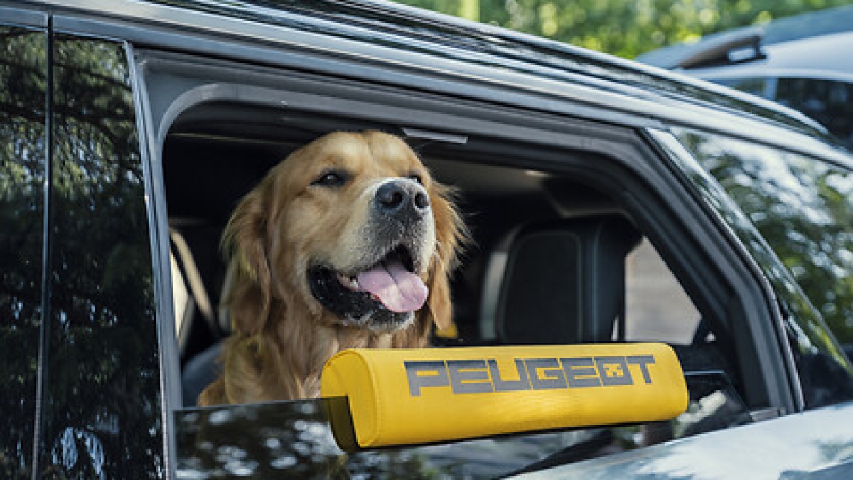Peugeot E-5008 Dog Edition: il concept SUV progettato per i cani