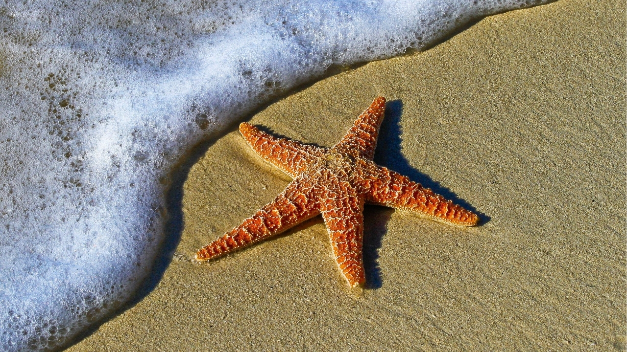 Previsioni traffico e meteo Ferragosto 2026: tra partenze e rientri